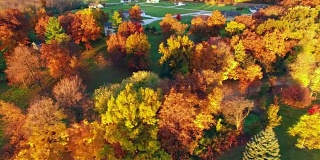 令人惊叹的色彩斑斓的秋树在黎明