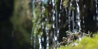 微小的瀑布特写水滴在苔藓上