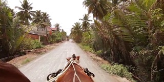 在越南湄公河三角洲骑马