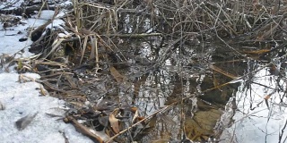 春天融冰的小溪中流动的水面
