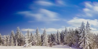 冬季景观与高云杉和雪山