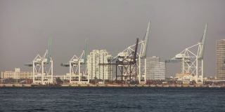 迈阿密港吊车与集装箱