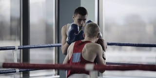 两个年轻的职业拳击手正在拳击台上搏斗