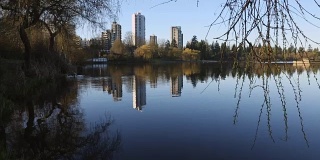 春天的早晨，迷失的泻湖，温哥华斯坦利公园