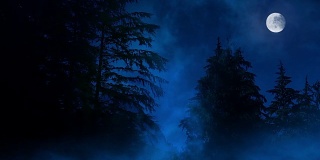 夜森林，迷雾沼泽和月亮