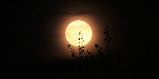 橙色的月亮正在升起。