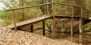 森林里的桥。秋天的白天。光滑的多莉。