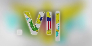 VI -美属维尔京群岛的互联网域名