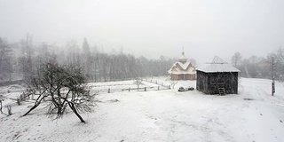 白雪覆盖的冷杉树