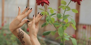 女人用曼海蒂的手在户外的玫瑰旁慢镜头跳舞