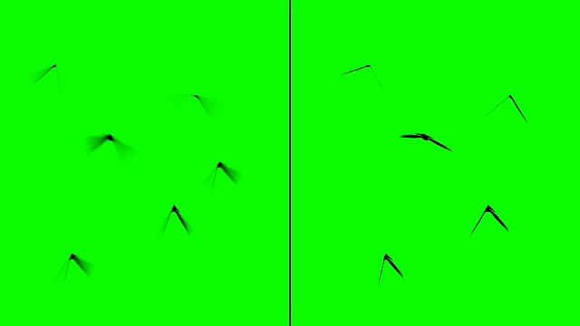 在绿色屏幕上飞行的昆虫分为两组。平动模糊