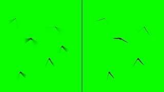 在绿色屏幕上飞行的昆虫分为两组。平动模糊视频素材模板下载