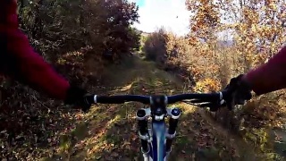极限运动速降赛。骑自行车的人在树林里骑山地车视频素材模板下载