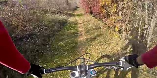 山地车视频:在森林的一个单一的轨道-股票视频。在阿尔卑斯山上骑山地车:视角相机拍摄