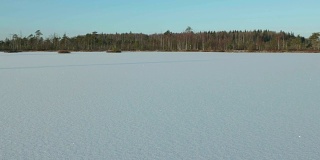 冰湖上的冬日田野。干净而有霜的白天。光滑的多莉。