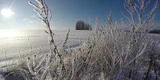 阳光透过白雪皑皑的田野上覆满白霜的草梗，时光流逝
