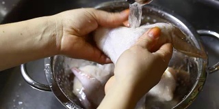 厨师用清水清洗鸡