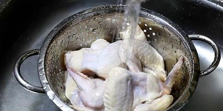 厨师用清水清洗鸡