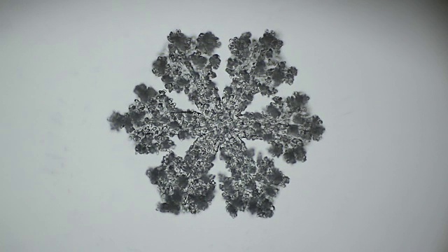 蓬松的雪花在显微镜下融化