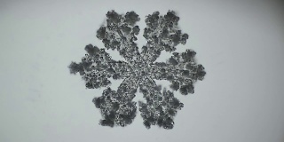 蓬松的雪花在显微镜下融化