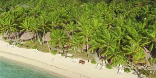 空中:幽静的白色沙滩和郁郁葱葱的异国情调郁郁葱葱的棕榈树是美丽热带岛屿上的天堂