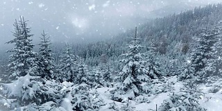 公园里冬天的树。真正的雪。慢动作