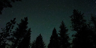 夜空中的星星在森林上空旋转