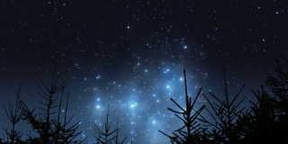 昴宿星在森林上空升起