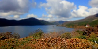 日本的秋湖云景