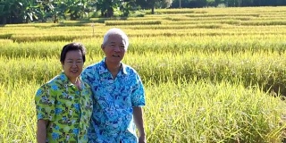 一段亚洲老年情侣在稻田前拥抱的视频。在早晨的阳光下旅行