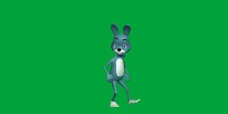 绿色屏幕上迷人的跳舞兔子:循环+哑光