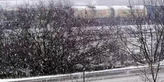 一个树木被雪覆盖的冬季公园里飘落的雪花，以96帧/秒的慢镜头拍摄