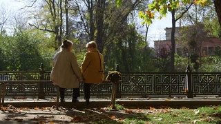 两个大龄妇女坐在长椅上聊天，享受着晴朗的秋日视频素材模板下载