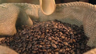 三段铲咖啡豆的慢动作视频视频素材模板下载