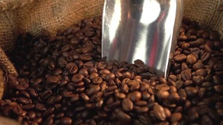 两段旋转咖啡豆的慢动作视频视频素材模板下载