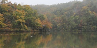 日本乡村清晨的湖景