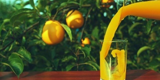 把橙汁从壶里倒进玻璃杯里