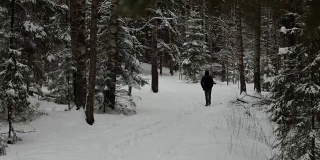 人走过美丽的雪域森林