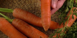 新鲜的花园胡萝卜和新鲜剥皮胡萝卜