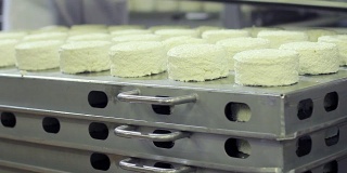 在牛奶工厂，工人将准备好包装的奶酪托盘放在其他托盘上。乳制品。奶酪生产的现代食品工厂。食品行业