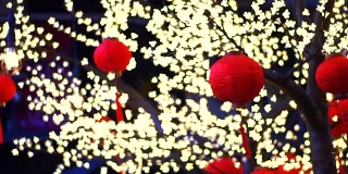 金灿灿的新年灯饰挂在枝头，红红的元宵节