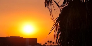 平移拍摄美丽的日落在一个建筑和棕榈树
