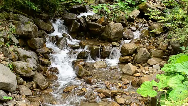 美丽的水景，在夏天有一条湍急的石山河流