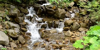 美丽的水景，在夏天有一条湍急的石山河流