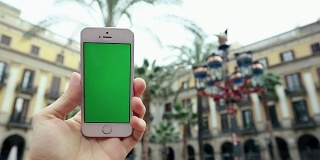 在棕榈树下使用手机绿屏