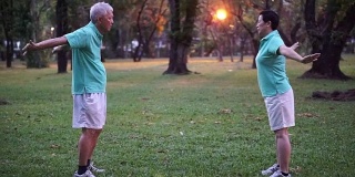 亚洲老夫妇在公园户外练习太极、气功的视频。抽象的爱与自然