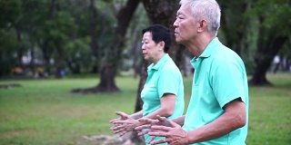 亚洲老夫妇在公园户外练习太极、气功的视频。抽象的爱与自然