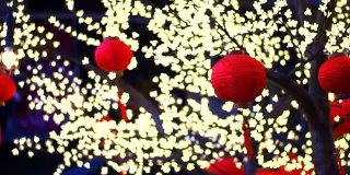 金灿灿的新年灯饰挂在枝头，红红的元宵节