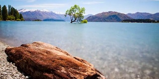 Wanaka树新西兰风景时光流逝