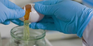 科学家在食品实验室进行测试鸡蛋